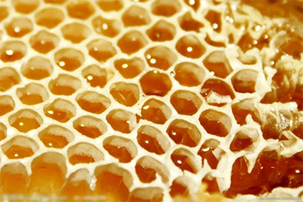 蜂胶有什么作用 蜂胶可以长期吃吗