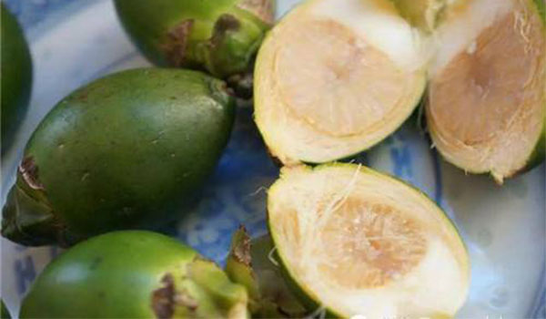 槟榔的功效与作用 嚼食槟榔有哪些危害
