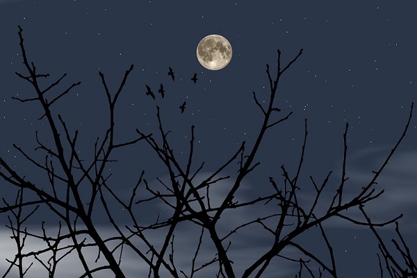 描写月亮的诗句有哪些 有关月亮的诗句