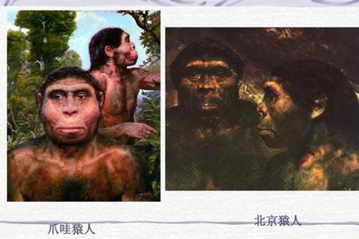 人类真的是猿人进化来的吗?有哪些证据?