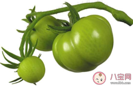 没成熟的青西红柿能吃吗 最新蚂蚁庄园9月19日答案