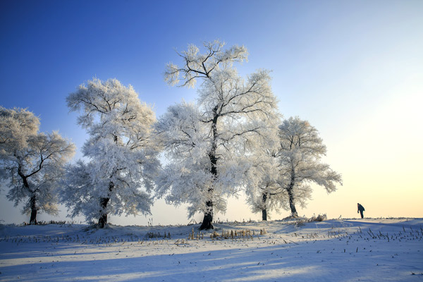 适合冬天看雪景的地方 雪景最美的地方