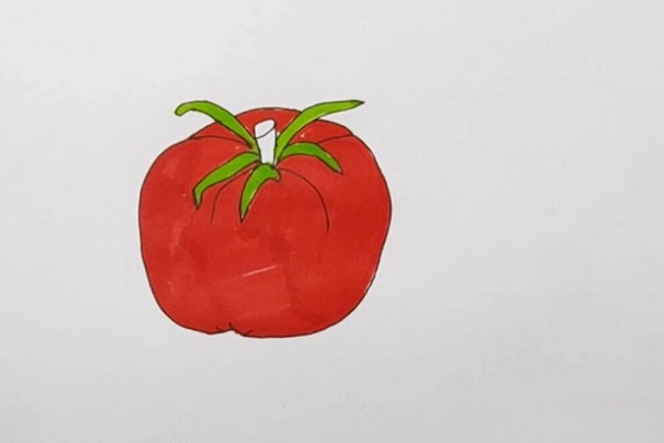 简笔画如何画西红柿 西红柿怎么画