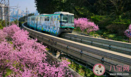 重庆开往春天的轻轨打卡攻略 佛图关最佳拍照点在哪
