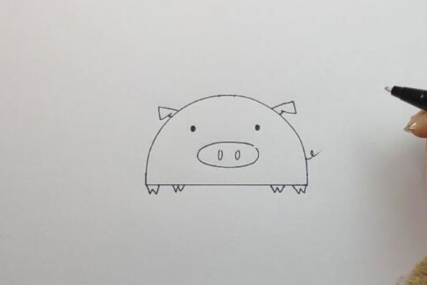 小猪怎么画 可爱的小猪画法