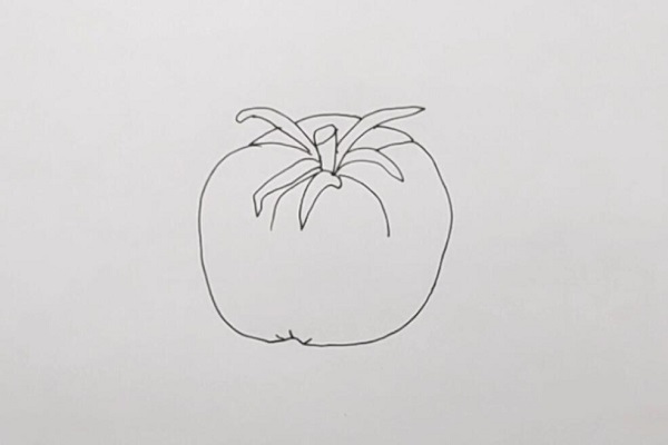 简笔画如何画西红柿 西红柿怎么画