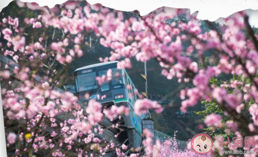 重庆开往春天的轻轨在哪 佛图关站最佳拍摄路线图