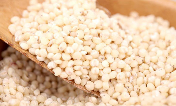 高粱米的功效与作用 高粱米给人带来哪些营养