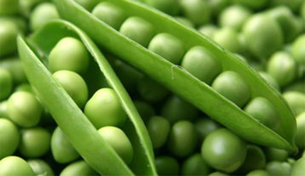 豌豆的营养价值及功效 吃豌豆有什么好处