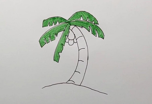 简单的椰子树怎么画 椰子树怎么画好看