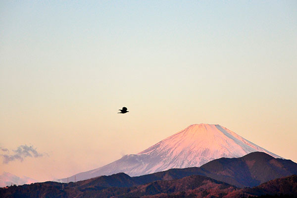 富士山一日游怎么安排 富士山一日游攻略