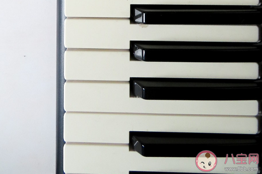 为什么钢琴的黑白键宽度不一样 支付宝蚂蚁庄园10月28日问题答案