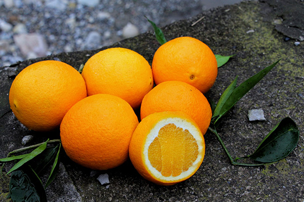 盐蒸橙子的功效与作用 盐蒸橙子给人带来的好处