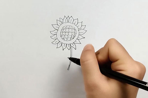 向日葵怎么画 画向日葵的步骤