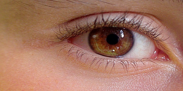 双眼皮胶水怎么用 双眼皮胶水有副作用吗