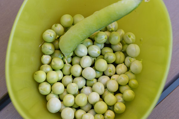 豌豆的营养价值及功效 吃豌豆有什么好处