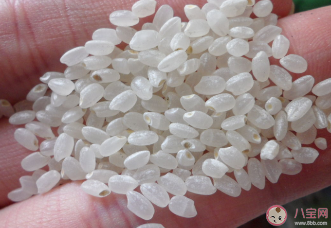 大米中的米虫是怎么来的 生虫的大米可以吃吗