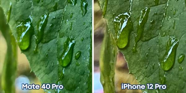 华为Mate40Pro和iPhone12Pro拍照对比-哪个拍照更好