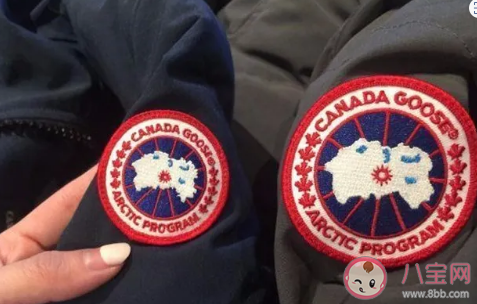 加拿大鹅羽绒服自己在家怎么洗 加拿大鹅羽绒服可以用洗衣机洗吗