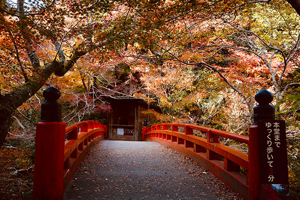 日本旅游要注意哪些事情 初次到日本旅游要注意什么