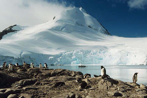 南极旅游的最佳时间 几月份去南极旅游最好