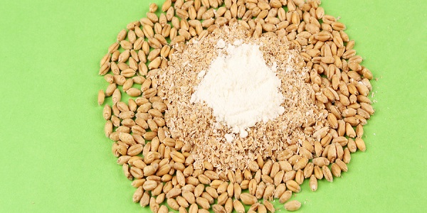 小麦粉是面粉吗 小麦粉是不是面粉