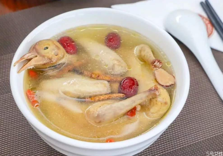 鸽子汤炖多久最营养 鸽子汤炖的越久越好吗