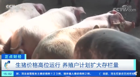 临近春节猪肉价格为什么大幅反弹 猪肉价格能降下去吗