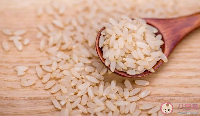 胚芽米是智商税吗 宝宝吃普通大米还是胚芽米好