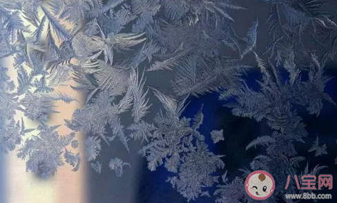 温度低的时候冬天玻璃上形成的冰窗花一般在窗户的哪一侧 支付宝蚂蚁庄园12月20日问题答案