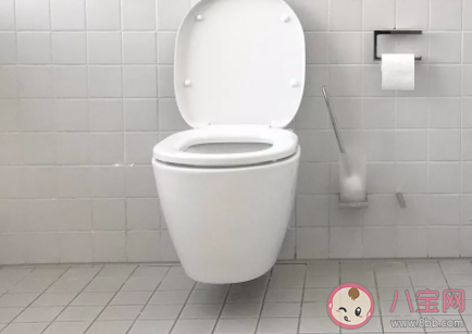 厕所万磁王是什么意思 万磁王是什么梗