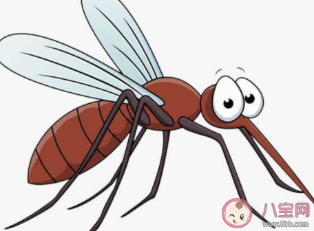 雌蚊子吸血雄蚊子吃什么 蚂蚁庄园小课堂9月13日答案