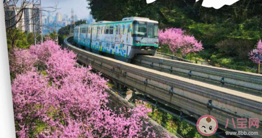 重庆开往春天的轻轨在哪 佛图关站最佳拍摄路线图