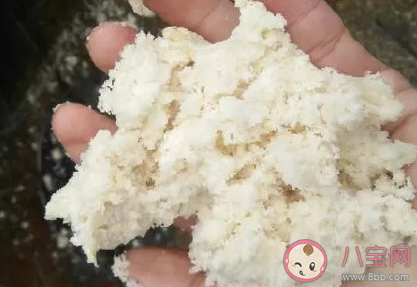 自制豆浆滤出的豆腐渣可以吃吗 蚂蚁庄园12月19日答案
