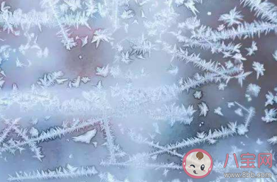 冬天玻璃上形成的冰窗花一般在窗户的哪一侧 支付宝蚂蚁庄园12月20日课堂问题答案