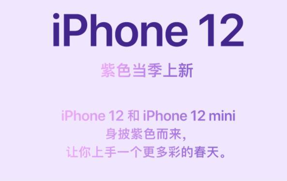 紫色iPhone12好看么-外观图赏