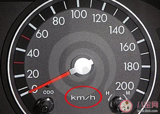 汽车时速80迈意思是时速80公里吗 蚂蚁庄园5月22日答案最新