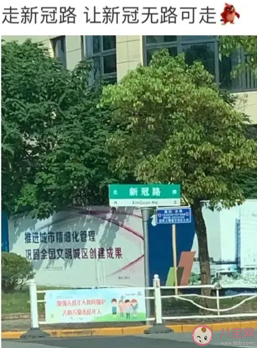 上海新冠路为什么火了 上海新冠路在哪里