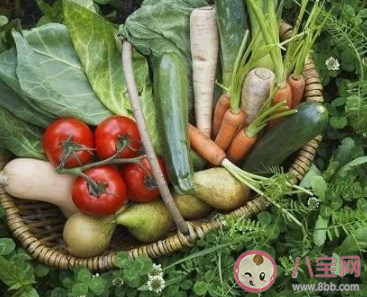 无公害蔬菜和绿色蔬菜哪个安全等级更高 蚂蚁庄园9月21日答案