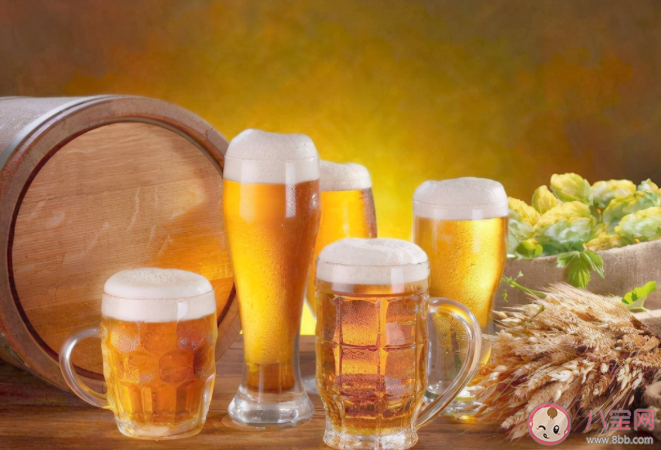 一杯啤酒总共能产生多少个气泡 啤酒倒入杯中后为什么有很多气泡上升