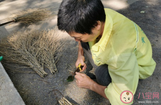 春节前扫尘是我国的传统习俗古人何时能用上扫帚呢 支付宝蚂蚁庄园2月5日问题答案