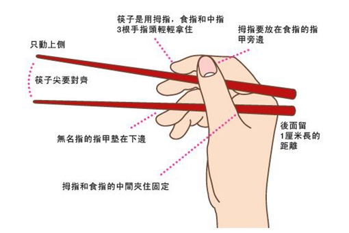 筷子为什么是七寸六分长 7寸6分的含义一定要知道